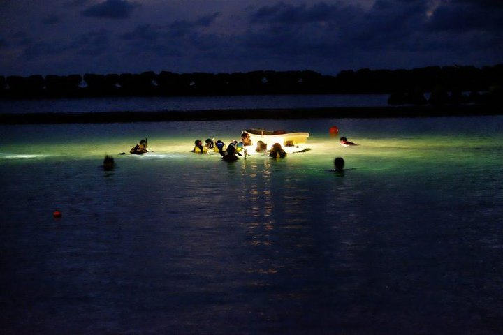 Night Snorkeling Experience in Mirissa - Photo 1 of 2